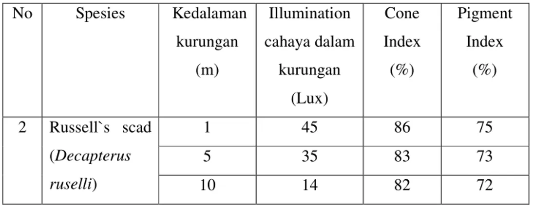 Tabel  2. Hasil analisis rata-rata cone dan pigment indeks pada ikan layang                  (Decapterus ruselli) berdasarkan perbedaan iluminasi cahaya                  (kondidi simulasi)  No  Spesies   Kedalaman  kurungan  (m)  Illumination  cahaya dalam