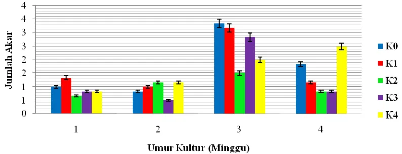 Gambar 4.4.1. Rata-rata Jumlah akar terhadap konsentrasi Kinetin yang berbeda  pada tiap Minggu 