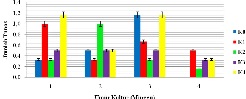 Gambar 4.6.1. Rata-rata Jumlah tunas terhadap konsentrasi Kinetin yang   berbeda pada setiam Minggu  