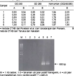 Gambar 2. Hasil amplifikasi PCR menggunakan primer spesifik gen pinII 