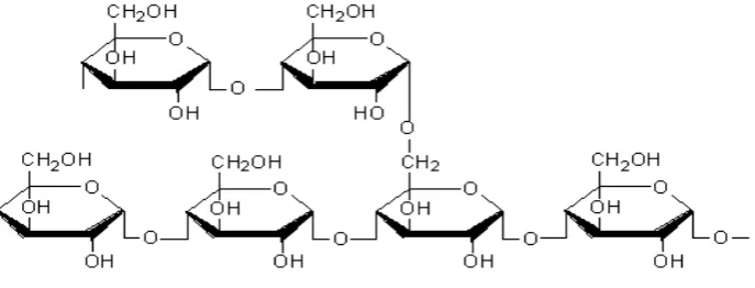 Gambar 2.4 Struktur amilopektin 