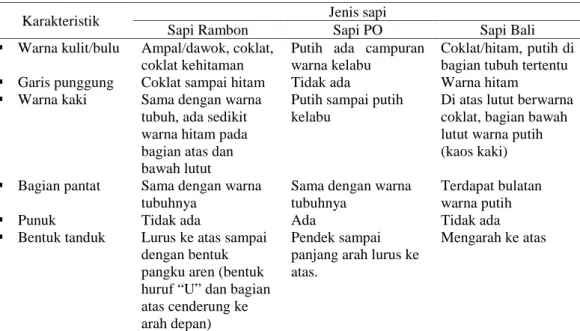 Tabel 2. Perbandingan profil/karakteristik eksternal sapi Rambon, PO dan Bali