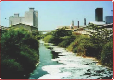 Gambar 1.4 Pencemaran lingkungan yang disebabkan karena limbah pabrik  merupakan salah satu bentuk pelanggaran HAM 