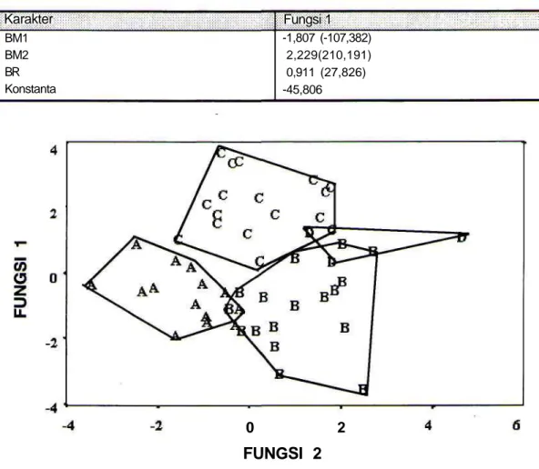 Gambar 3. Pola pengelompokkan M. surifer berdasarkan lokasi asal ditemukan