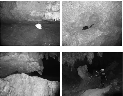 Gambar 5. Kenampakan speleogen dan speleothem pada Gua Gesing-Jlamprong-Sinden. 