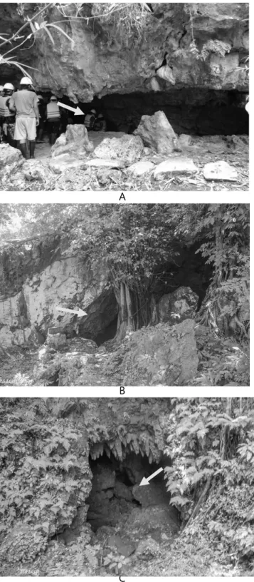 Gambar 1. Kenampakan pada pintu masuk gua, (A) Gua Gesing tipe fracture cave, (B) Gua  Jlamprong tipe phreatic cave, (C) Gua Sinden tipe pit cave