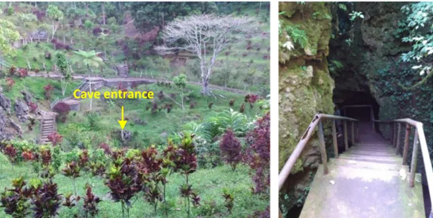 Gambar  2.  Lingkungan  sekitar  Gua  Seplawan  berupa  cekungan  tertutup  (gambar  kiri),  pintu masuk gua berupa pit cave vertikal yang telah dibangun tangga permanen (gambar  kanan) 