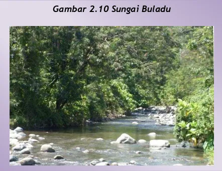 Gambar 2.10 Sungai Buladu 