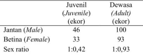 Tabel  (Table)  1.  Kelas  umur  P.  reticulatus  yang  dipanen (Age class of harvested  Reticulated pythons)  Juvenil  (Juvenile)   (ekor)   Dewasa  (Adult)  (ekor)   Jantan (Male)  46  100  Betina (Female)  33  93  Sex ratio  1:0,42  1:0,93 
