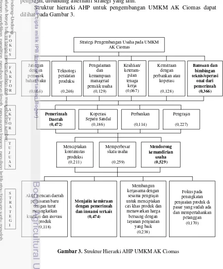 Gambar 3. Struktur Hierarki AHP UMKM AK Ciomas 