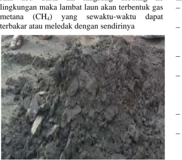 Gambar 1. Abu dasar 