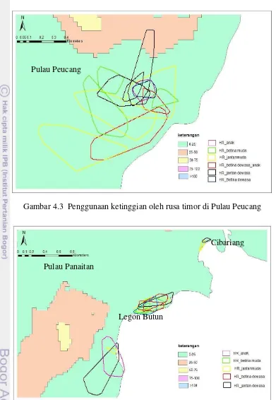 Gambar 4.3  Penggunaan ketinggian oleh rusa timor di Pulau Peucang 