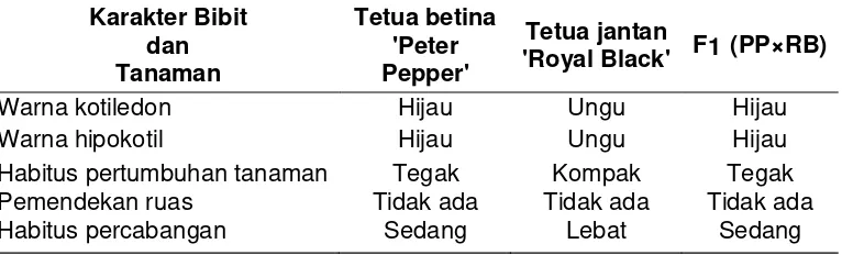 Tabel 1. Karakter bibit dan tanaman tetua betina ‘Peter Pepper’, tetua jantan ‘Royal Black’, dan F1 (PP×RB) 