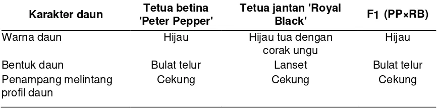 Tabel 2. Karakter batang tetua betina ‘Peter Pepper’, tetua jantan ‘Royal Black’, dan F1 (PP×RB) 