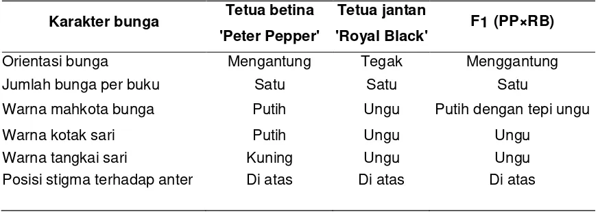 Tabel 4.  Karakter bunga tetua betina ‘Peter Pepper’, tetua jantan ‘Royal Black’, dan F1 (PP×RB) 