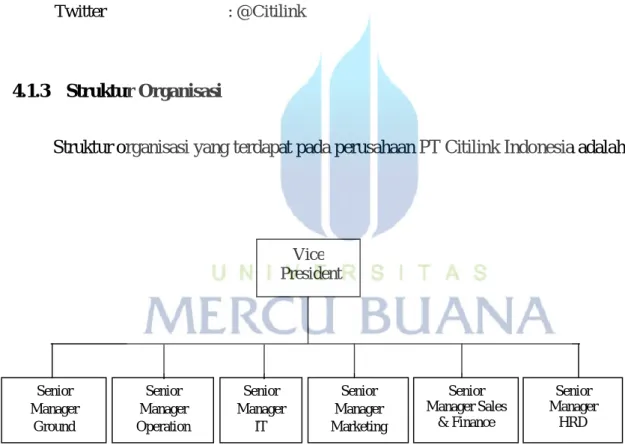 Gambar 4.1 Struktur Perusahaan PT Citilink Indonesia 