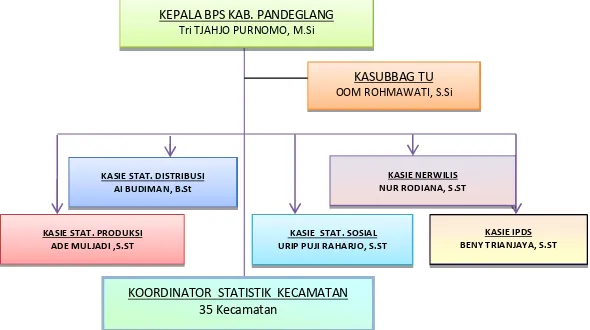 Gambar 1. Struktur Organisasi BPS Kabupaten Pandeglang