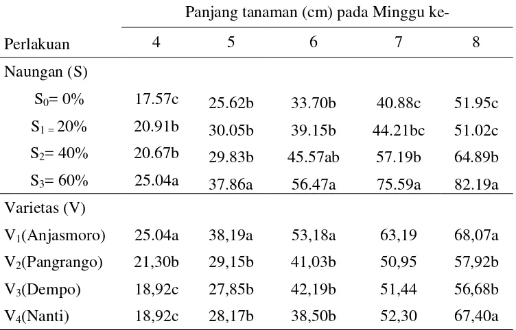 Tabel 3. Rataan panjang tanaman (cm) pada umur 4-8 minggu MST pada berbagai  perlakuantingkat Penaungan dan Varietas 