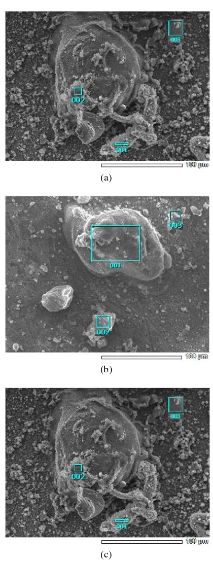 Gambar 3. Foto hasil SEM pada permukaan atap dengan pembesaran 100 μm (a) sampel 1 deposit tebal, dan (b) sampel 1 deposit tipis, dan  (c) sampel 2 deposit tebal 