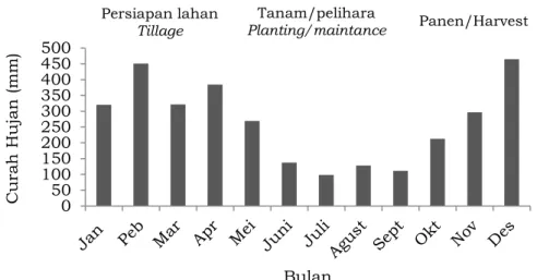 Gambar 1. Rata-rata curah hujan bulanan musim tanam tahun 2013/2014 di Stasiun Sembawa 500100150200250300350400450500Curah Hujan (mm)  Bulan Panen/Harvest Tanam/pelihara Planting/maintance Persiapan lahan Tillage 