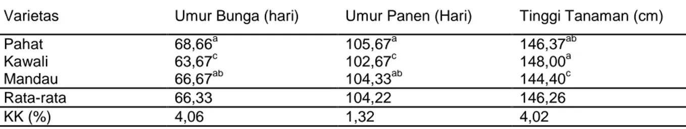 Tabel 3.  Umur bunga, umur panen, dan tinggi tanaman berbagai genotipe sorgum sebagai tanaman  sela karet 