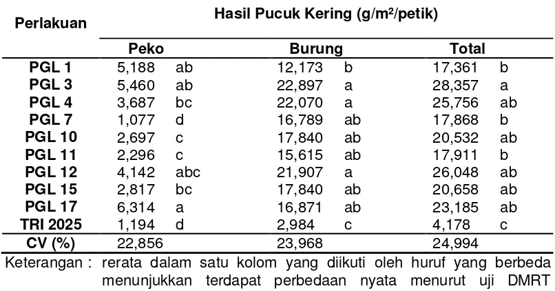 Tabel 4. Hasil Pucuk Kering Klon PGL dan TRI 2025 