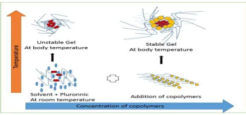 Fig. 1. Effect of copolymers on mechanical strength and stability of gelling system 