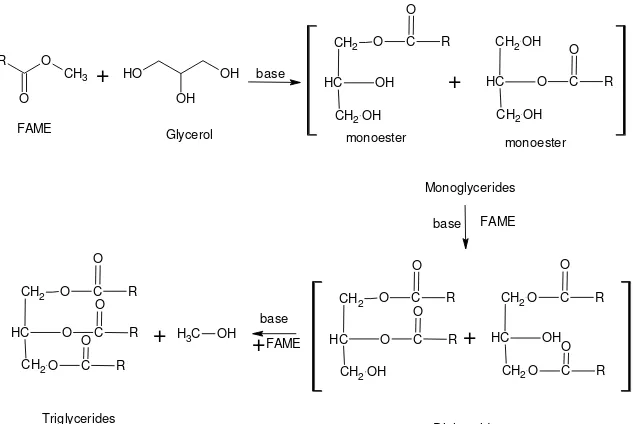 Fig. 2:  Monoglyceride synthesis via trans-esterification (glycerolysis) of FAME with glycerol and consecutive reactions to diglycerides and triglycerides