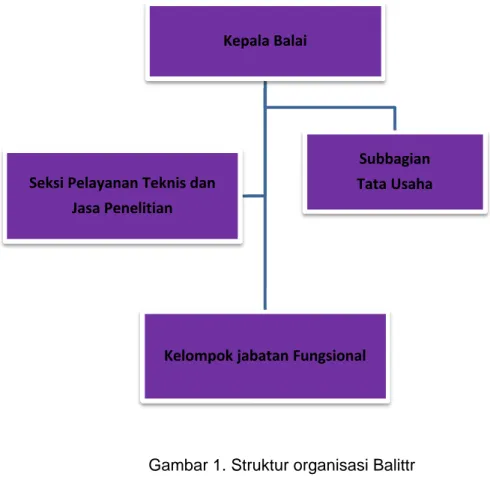 Gambar 1. Struktur organisasi Balittr Kepala BalaiKelompok jabatan Fungsional Subbagian Tata UsahaSeksi Pelayanan Teknis dan Jasa Penelitian