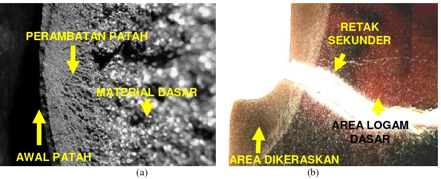 Gambar 8.  Foto struktur makro permukaan patahan pada komponen poros roda belakang dengan stereo microscope ; (a) permukaan patahan yang halus dan perambatan patah ulet yang kasar pada area tepi,( b) potongan memanjang di area patahan terlihat adanya batas area yang  dikeraskan dan perambatan retak sekunder pada material dasar 