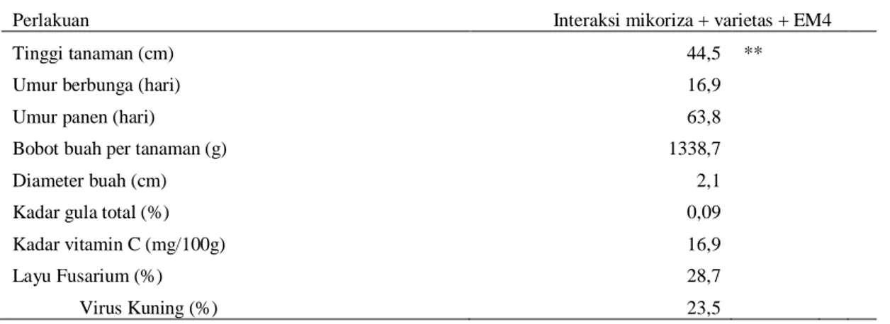 Tabel 5. Pengaruh interaksi perlakuan terhadap pertumbuhan dan hasil tomat 