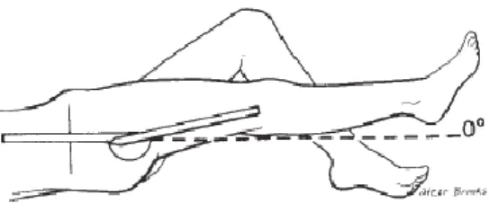 Gambar  2.  Pengukuran sudut dengan goniometer 