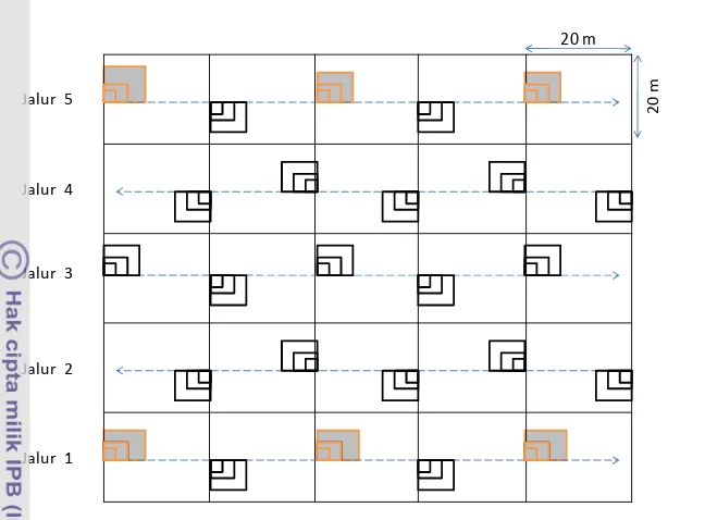 Gambar 3   Bentuk petak contoh penelitian (PCP) berukuran 100m x 100m (1 ha) 2