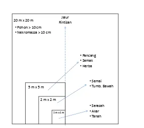 Gambar 4  Bentuk sub petak contoh penelitian (Sub PCP) berukuran 1 m x 1 m, 