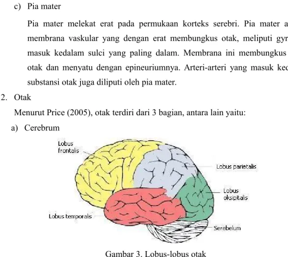 Gambar 3. Lobus-lobus otak