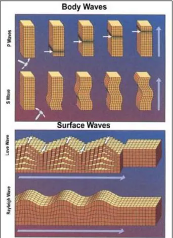Gambar 2.8 Jenis-jenis gelombang seismik (USGS, 2009) 