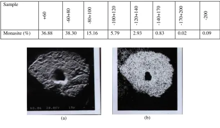Tabel 1. Hasil analisa ayak monasite Bangka 