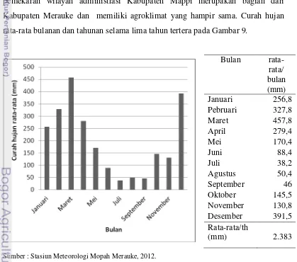 Tabel 1  Hasil pengamatan pH, TDS, temperatur air pada tempat  pertumbuhan tebu rawa 