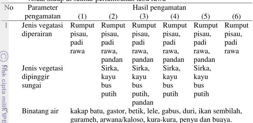 Tabel 3  Hasil pengamatan  vegetasi dan binatang  yang dapat dilihat  secara 