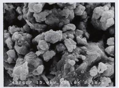 Gambar 11. Morfologi dari sampel hasil proses mekanokimia dan penghilangan unsur besi 