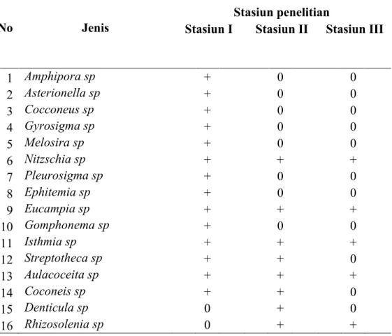 Tabel 1.  Jenis diatom pada masing-masing stasiun penelitian di sungai  Kampar kawasan Desa Buluh Cina selama penelitian 