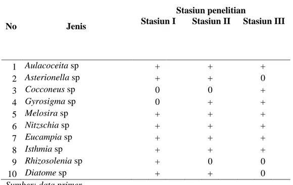 Tabel 4.1  Jenis diatom pada masing-masing stasiun penelitian di sungai  Kampar kawasan Pasar Rumbio selama penelitian 