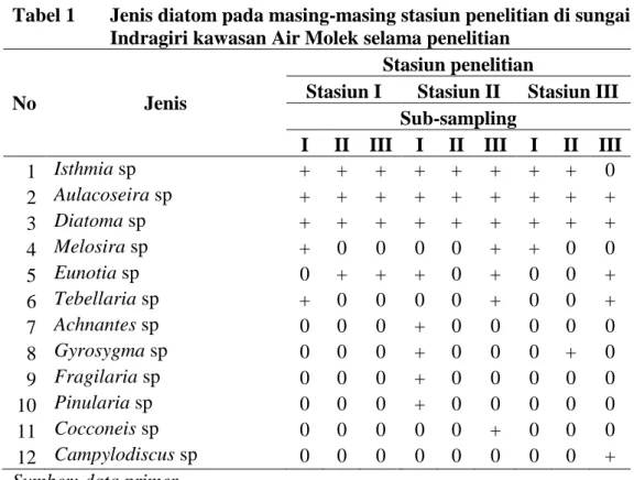 Tabel 1  Jenis diatom pada masing-masing stasiun penelitian di sungai  Indragiri kawasan Air Molek selama penelitian 