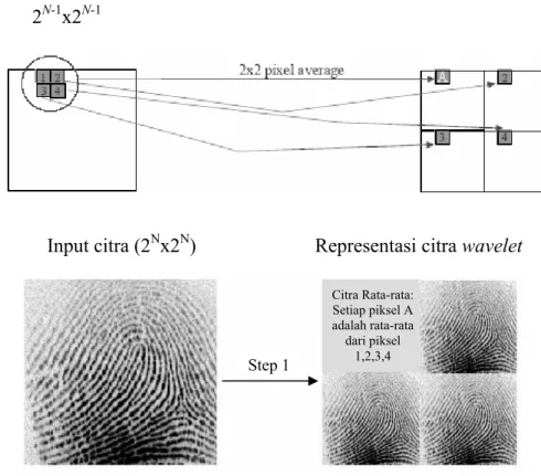 Gambar 3.2 Proses awal representasi citra wavelet 