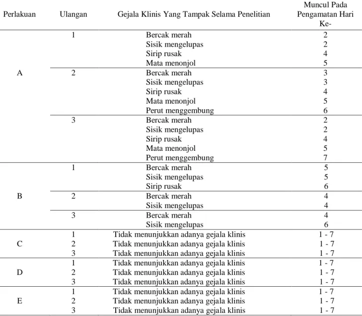 Tabel 1. Gejala Klinis Yang Tampak Pada Benih Gurame Setelah Uji Tantang  Perlakuan  Ulangan  Gejala Klinis Yang Tampak Selama Penelitian 