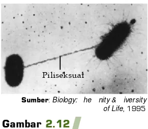 Gambar 2.13Bentuk dan jumlah flagela padabakteri. (a) Flagela tipe lofotrik,