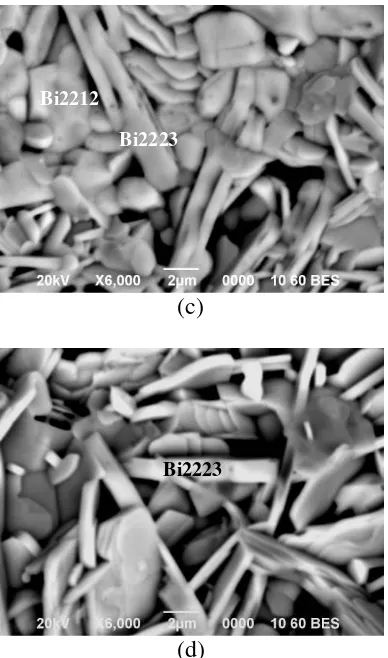 Gambar 6. Hasil uji SEM dari campuran serbuk oksida Bi2O3, SrCO3, CaCO3, CuO, PbO pada waktu penahanan 90 jam dan Tsintering (°C); (a) 800, (b) 825, (c) 845, dan (d) 865  