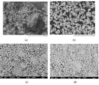 Figure 2. Microstructures of Fe-Cr (a) powders of type II, the mixture in a mortar,(b) powders of type I, treated ultrasonically for 20 hours, (c) green compaction of Type II, and (d) green compaction of  Type I 