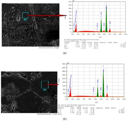 Figure 3. The microstructures and elemental compositions of the bulk of fe-Cr alloys as the results of sintering process of green powders of Fe-Cr, (a) Type II, (b) Type I 