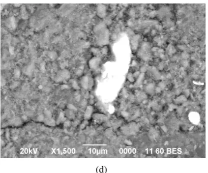 Gambar 5. Mikrostruktur dari sampel Mg-Ca-Zn setelah disinter pada temperatur 600 °C dengan perbesaran: (a) 100×, (b) 250×, (c) 500× dan (d) 1500×